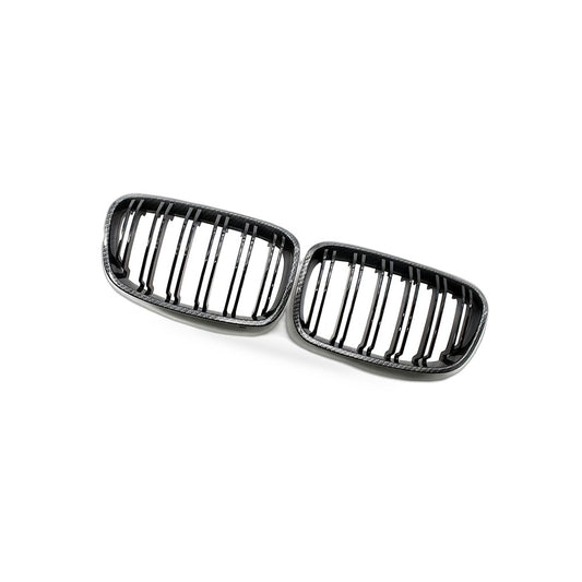 Carbon Texture Double Line Grille Suitable for BMW 1 Series F20 2011-2014