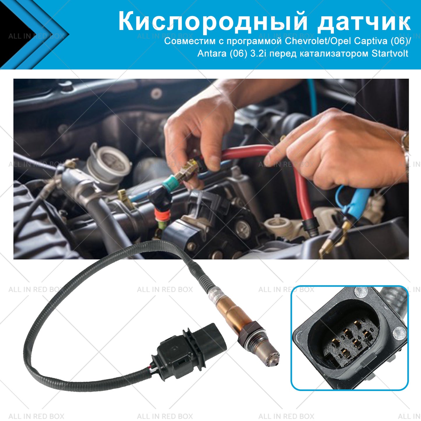 {{ Oxygen Sensor Suitable for Calais VE Holden Captiva CG Commodore 3. 6L 92210450 }} - Buy Car Parts Online at {{ Kaka Auto Parts }}.