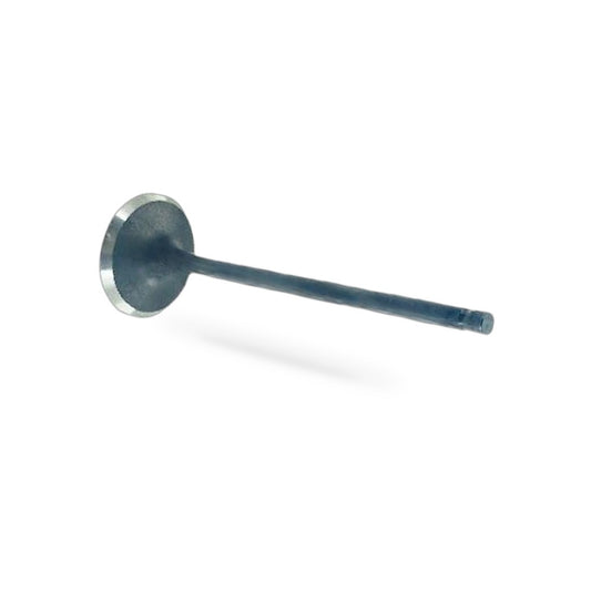Intake Valve Suitable for Ford Focus 1.8 Mondeo 2.0 Edge 2.0T 1S7G-6507DG