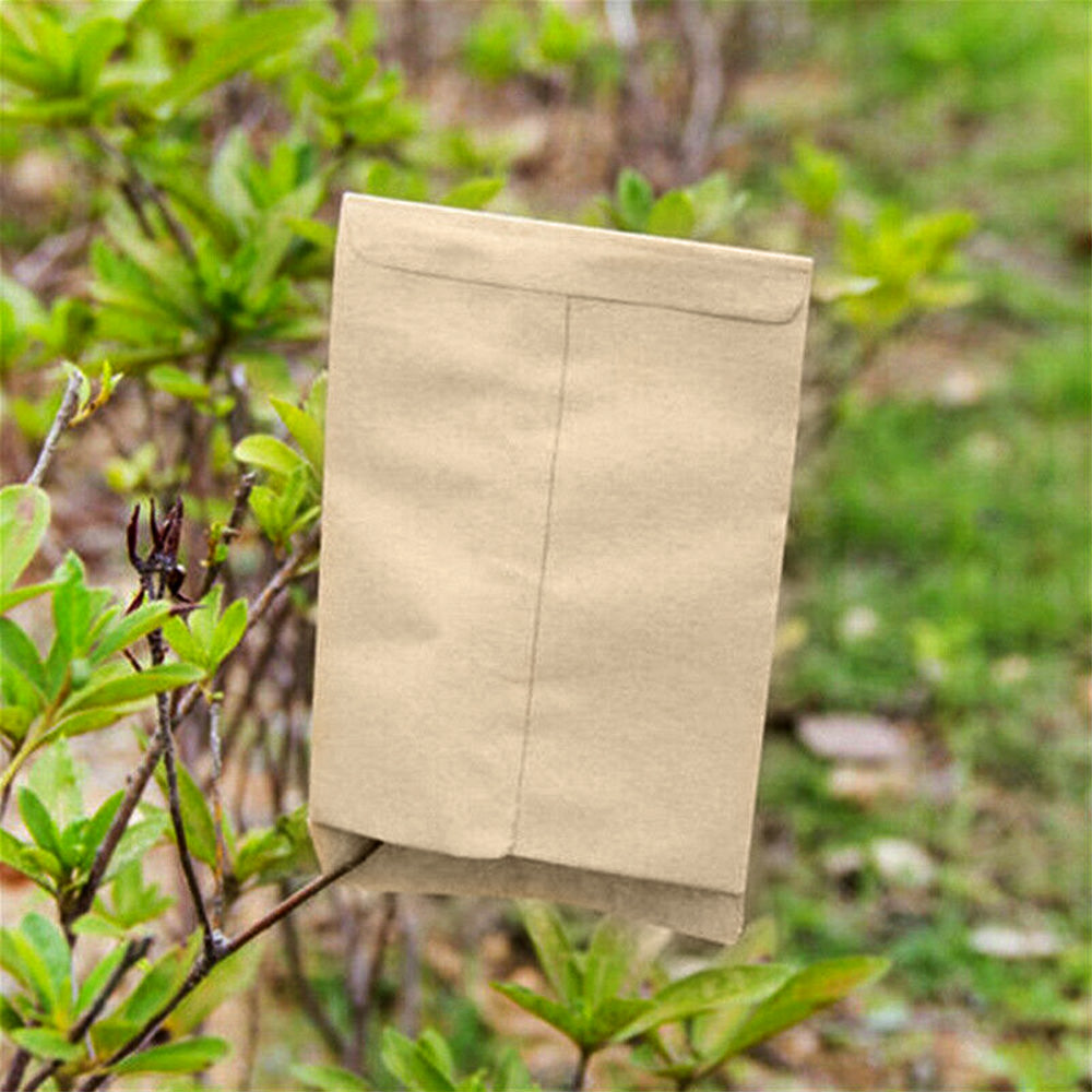 {{ 100/200PCS Coin Envelope Cash Check Ticket Salary Grain Seed Key Post Office }} - Buy Car Parts Online at {{ Kaka Auto Parts }}.