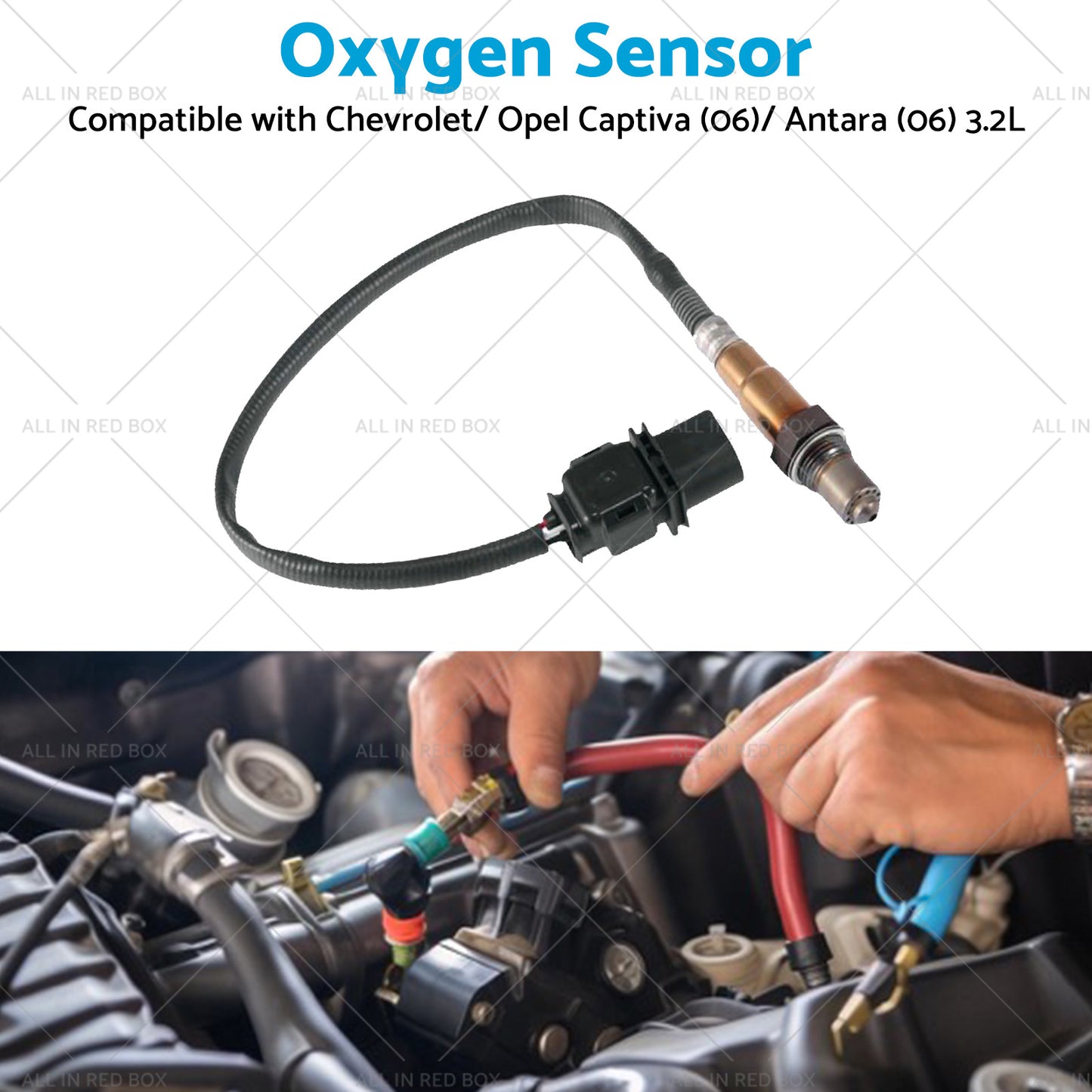 {{ Oxygen Sensor Suitable for Calais VE Holden Captiva CG Commodore 3. 6L 92210450 }} - Buy Car Parts Online at {{ Kaka Auto Parts }}.