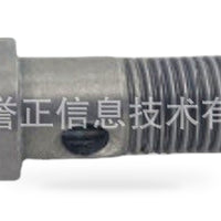 Turbocharger Bolt Suitable for Ford Edge Mondeo Escape Focus 2.0T W715499-S900 - XQ1