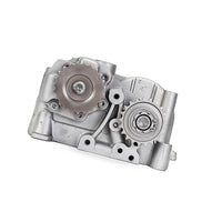 Balance Shaft Oil Pump Assembly Suitable for Audi A3 A4 A6 TT VW Passat - BD3