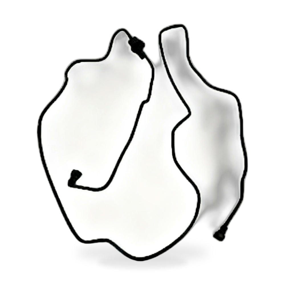 Carbon Canister Purge Valve Suitable for Ford Mondeo Galaxy S-Max Volvo S60 V70 - ZT3