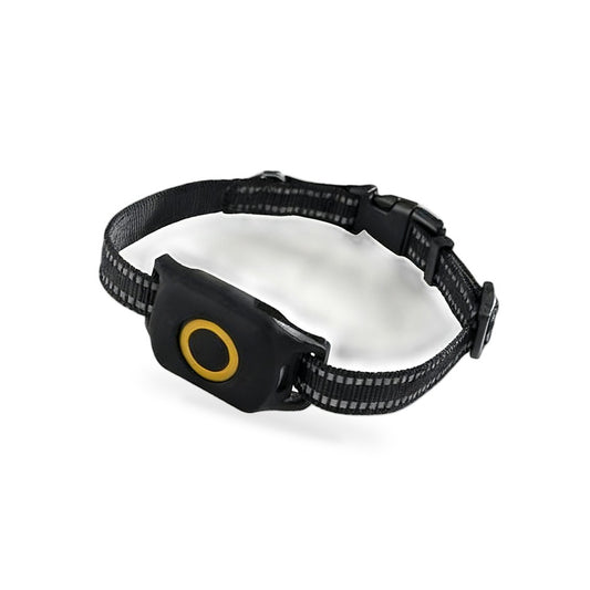 4G Wireless GPS Dog Tracker Suitable for Outdoor Use