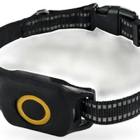 4G Wireless GPS Dog Tracker Suitable for Outdoor Use