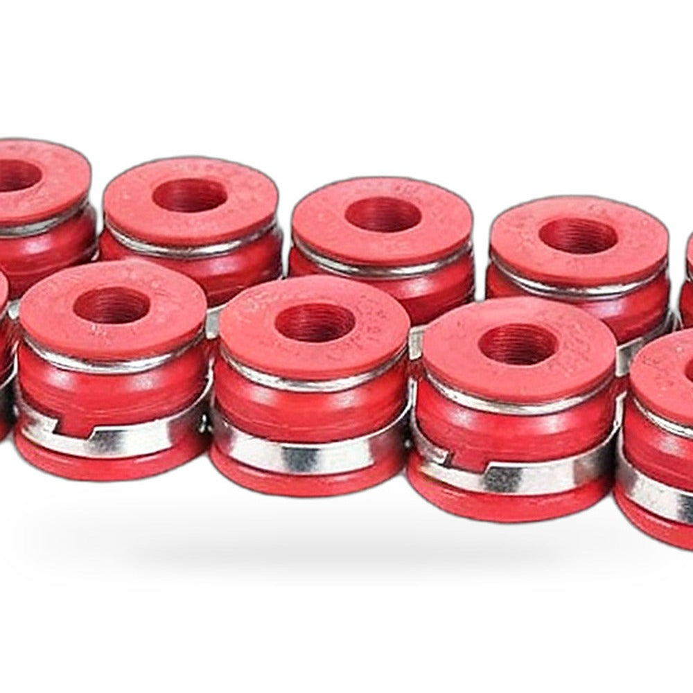 Valve Spring Suitable for Dodge Ram 2500 3500 Cummins 6BT 5.9L 1989-1998 3916691 - XQ1