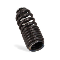 Engine Valve Spring Suitable for Honda Civic CRX Del Sol Acura Integra B16A B18C - BD1