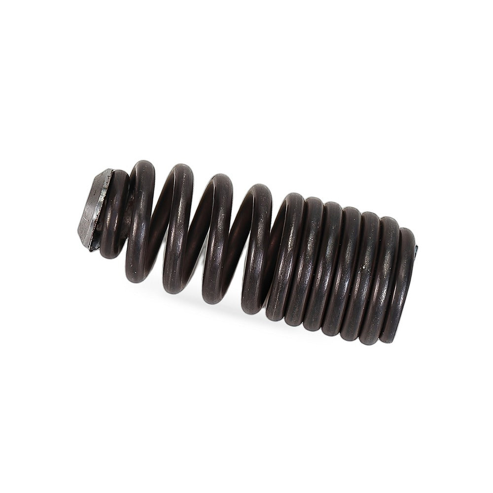 Engine Valve Spring Suitable for Honda Civic CRX Del Sol Acura Integra B16A B18C - BD3