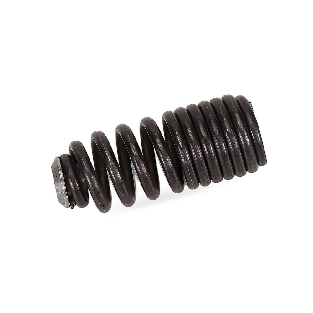 Engine Valve Spring Suitable for Honda Civic CRX Del Sol Acura Integra B16A B18C - BD4