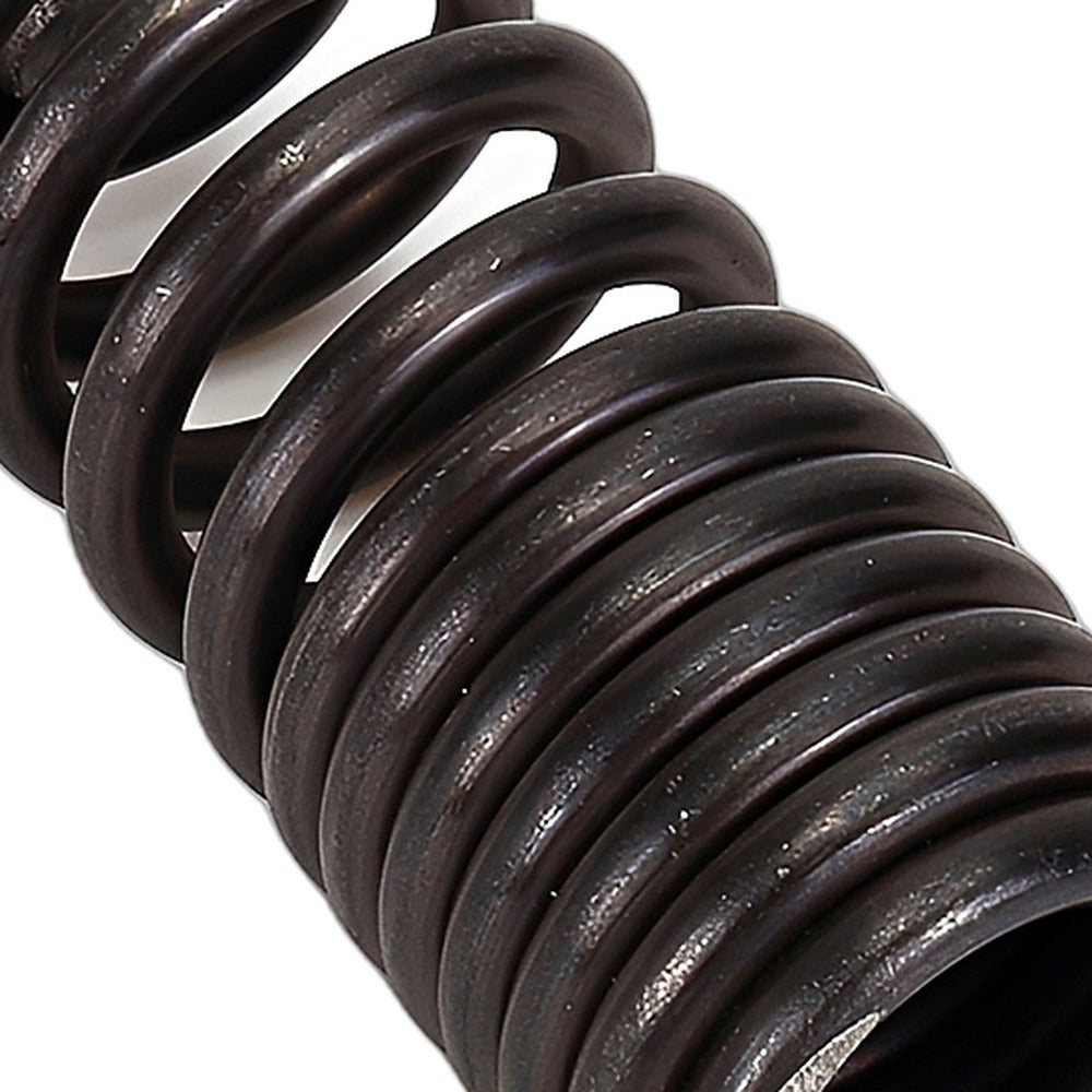 Engine Valve Spring Suitable for Honda Civic CRX Del Sol Acura Integra B16A B18C - XQ1