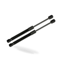 Tailgate Strut Suitable for Porsche Boxster 2005-2012 2.7L 3.2L 3.4L 98751255108 - BD1