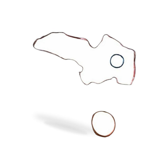Intake Manifold Gasket Suitable for Ford Mondeo 2013-2022 Fusion Kuga Escape