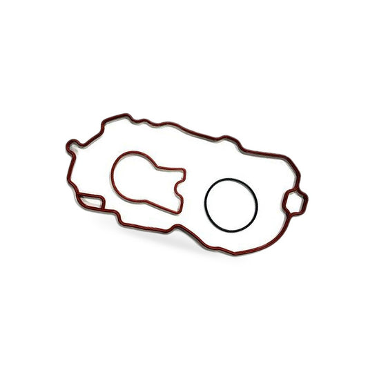 Manifold Plenum Gasket Fits 96-06 Chevrolet GMC Astro Blazer 4.3L V6 OHV 12V