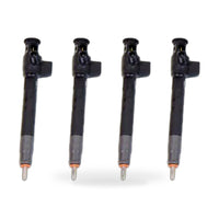DS7Q-9F593-BB 9674984080 28319895 28388960 28602948 fuel Injector for FORD PEUGE - ZT2