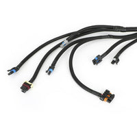 Stand-Alone Harness 4L60E Suitable For LS1 Vortec 4.8/5.3/6.0 1997-2006 ¡§C Drive By Cable