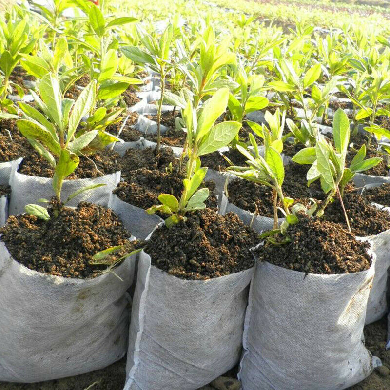 200x Non-Woven Biodegradable Grow Bags Suitable For Plant Nursery Seedling & Garden