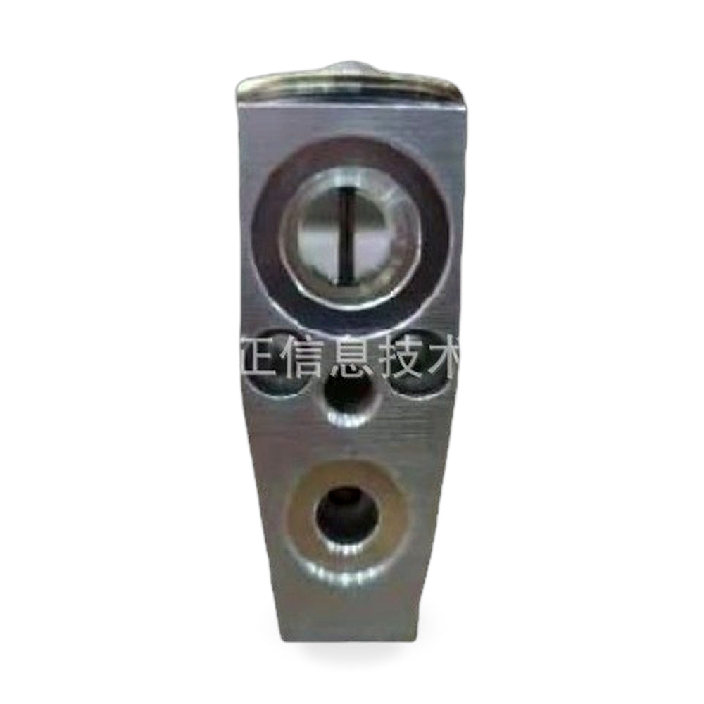 Expansion Valve Suitable for Ford Fiesta 2013-2019 Explorer 2011-2019 Escape - ZT2