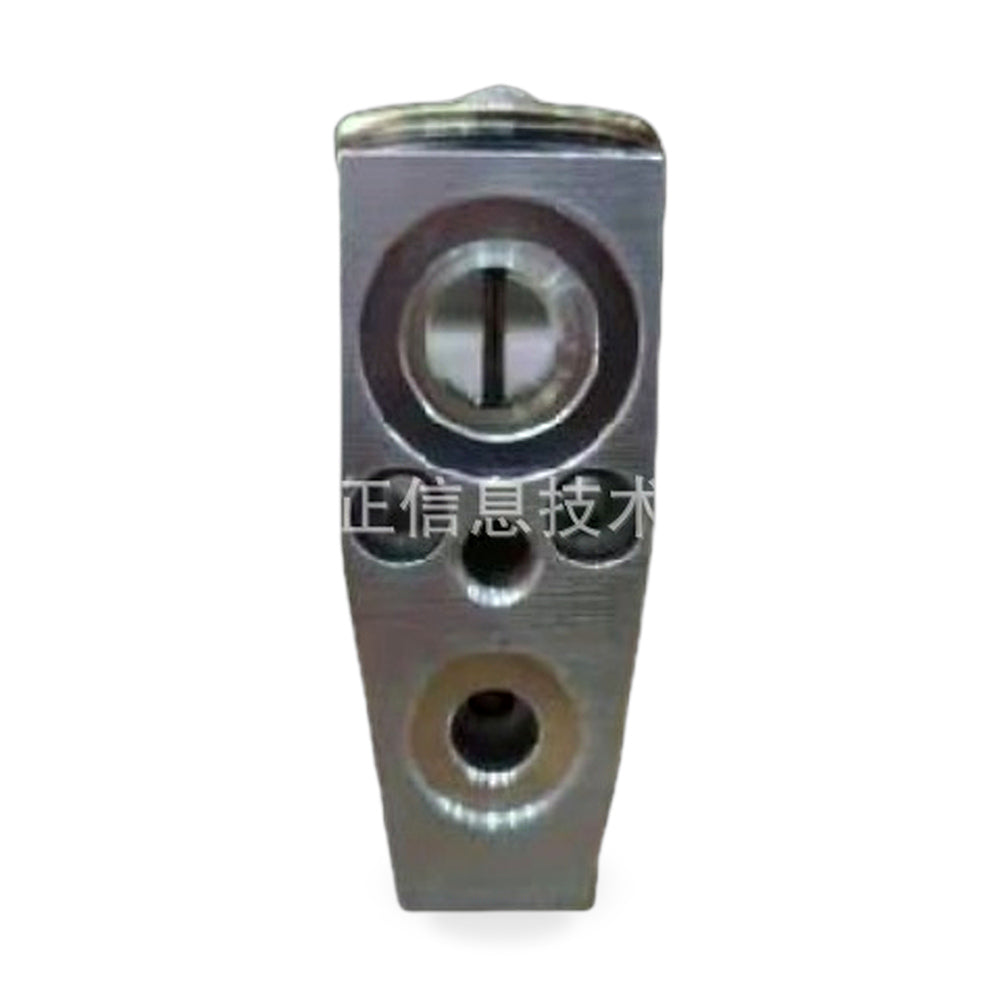 Expansion Valve Suitable for Ford Fiesta 2013-2019 Explorer 2011-2019 Escape - ZT3