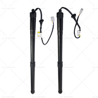 {{ 2x Rear Tailgate Support Struts Suitable for Lexus RX350 RX450h 6892048031 16-19 }} - Buy Car Parts Online at {{ Kaka Auto Parts }}.