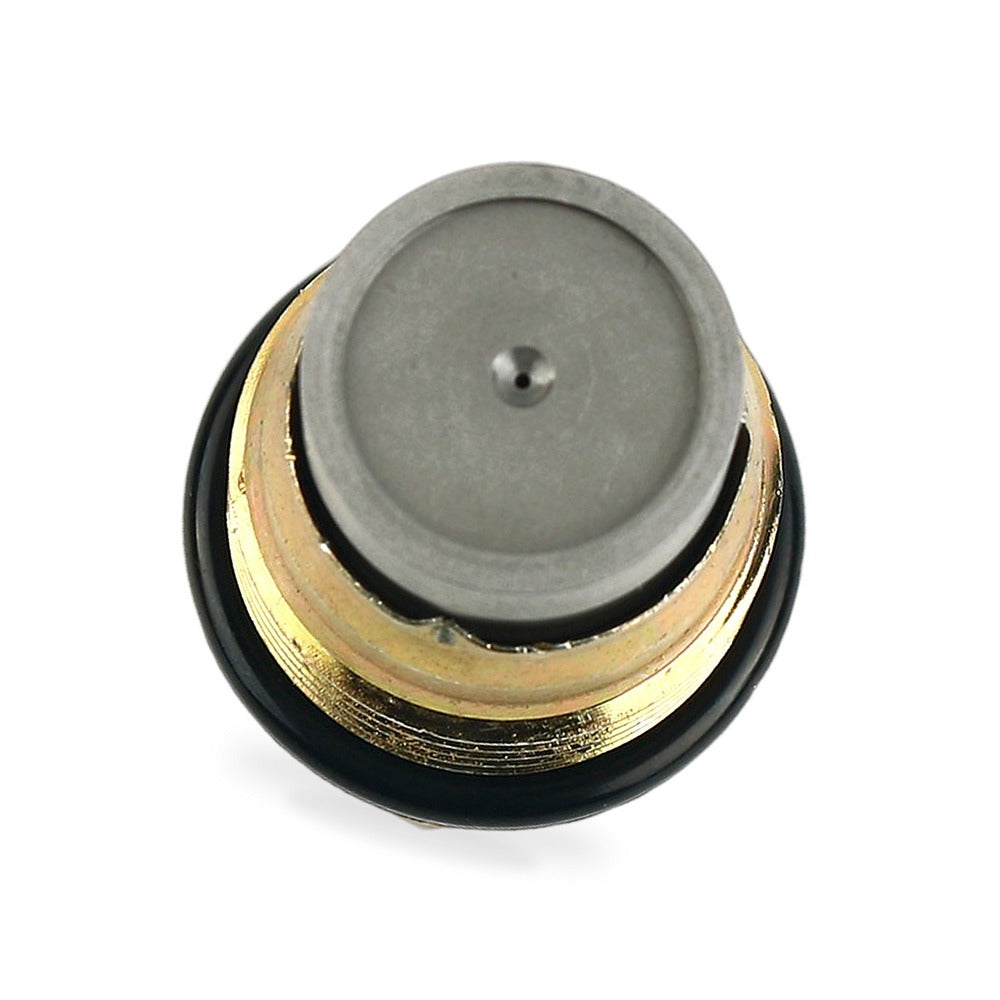 Fuel Rail Pressure Relief Valve Suitable for Renault Megane Laguna Scenic Koleos - BD1