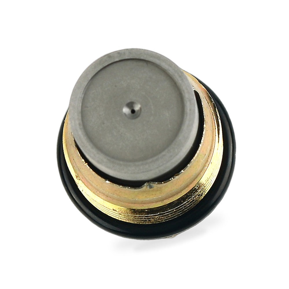 Fuel Rail Pressure Relief Valve Suitable for Renault Megane Laguna Scenic Koleos - BD2