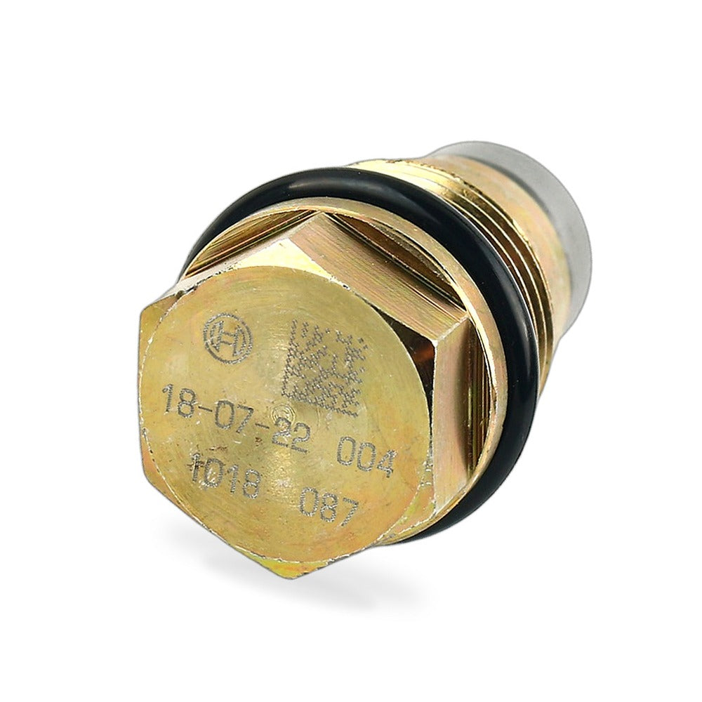 Fuel Rail Pressure Relief Valve Suitable for Renault Megane Laguna Scenic Koleos - BD3