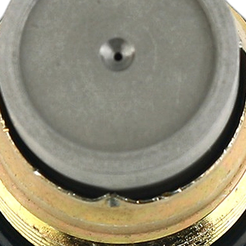 Fuel Rail Pressure Relief Valve Suitable for Renault Megane Laguna Scenic Koleos - XQ1
