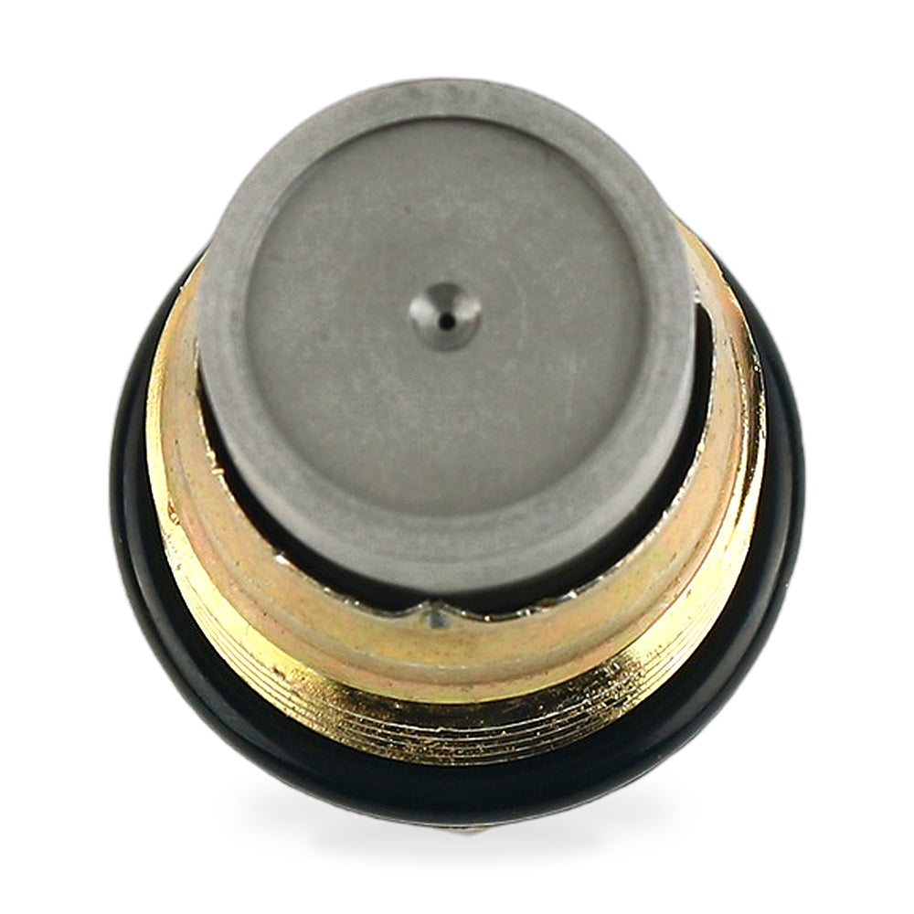 Fuel Rail Pressure Relief Valve Suitable for Renault Megane Laguna Scenic Koleos - ZT2