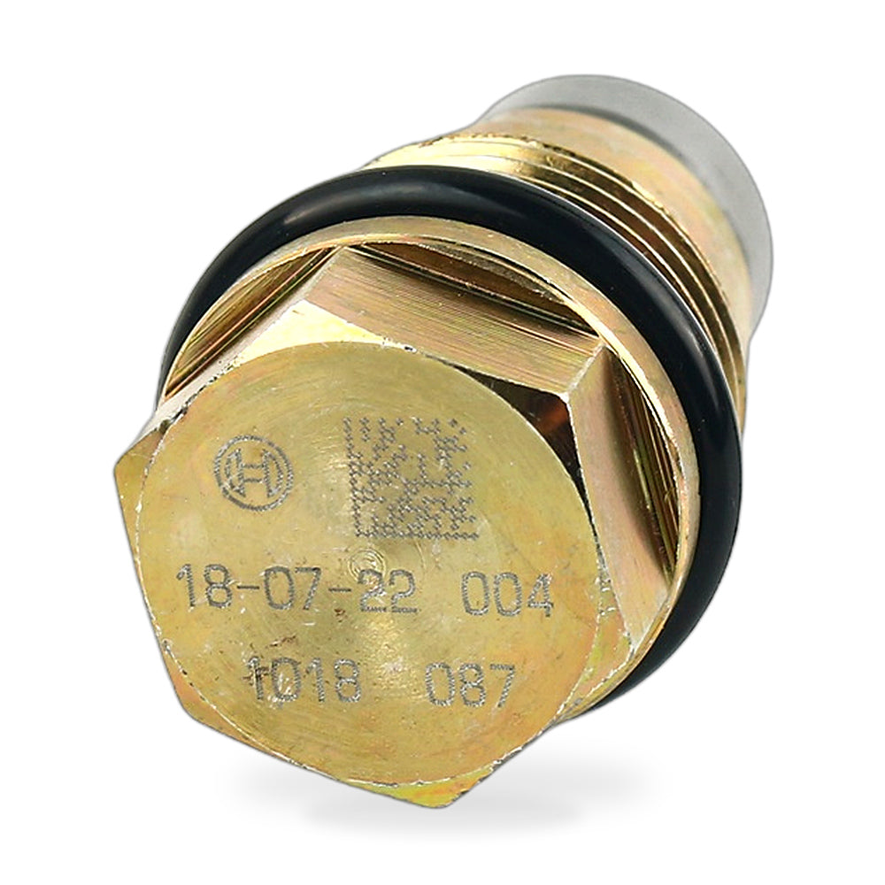 Fuel Rail Pressure Relief Valve Suitable for Renault Megane Laguna Scenic Koleos - ZT3