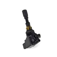 Ignition Coil Suitable for Hyundai Santa Fe Sonata XG350 Kia Sorento Sedona - BD4