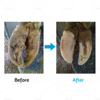 {{ Hoof Trimming Cutter Livestock Sheep Foot Trimmer Disc Plate Electric Hoof Tool }} - Buy Car Parts Online at {{ Kaka Auto Parts }}.